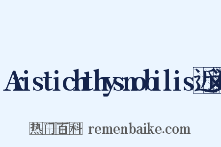 Aristichthysnobilis近义词是什么意思的图片